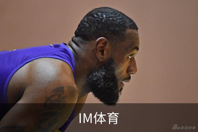 IM体育公司简介